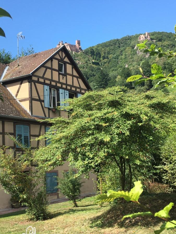 Le Gîte du Moulin Ribeauvillé Extérieur photo